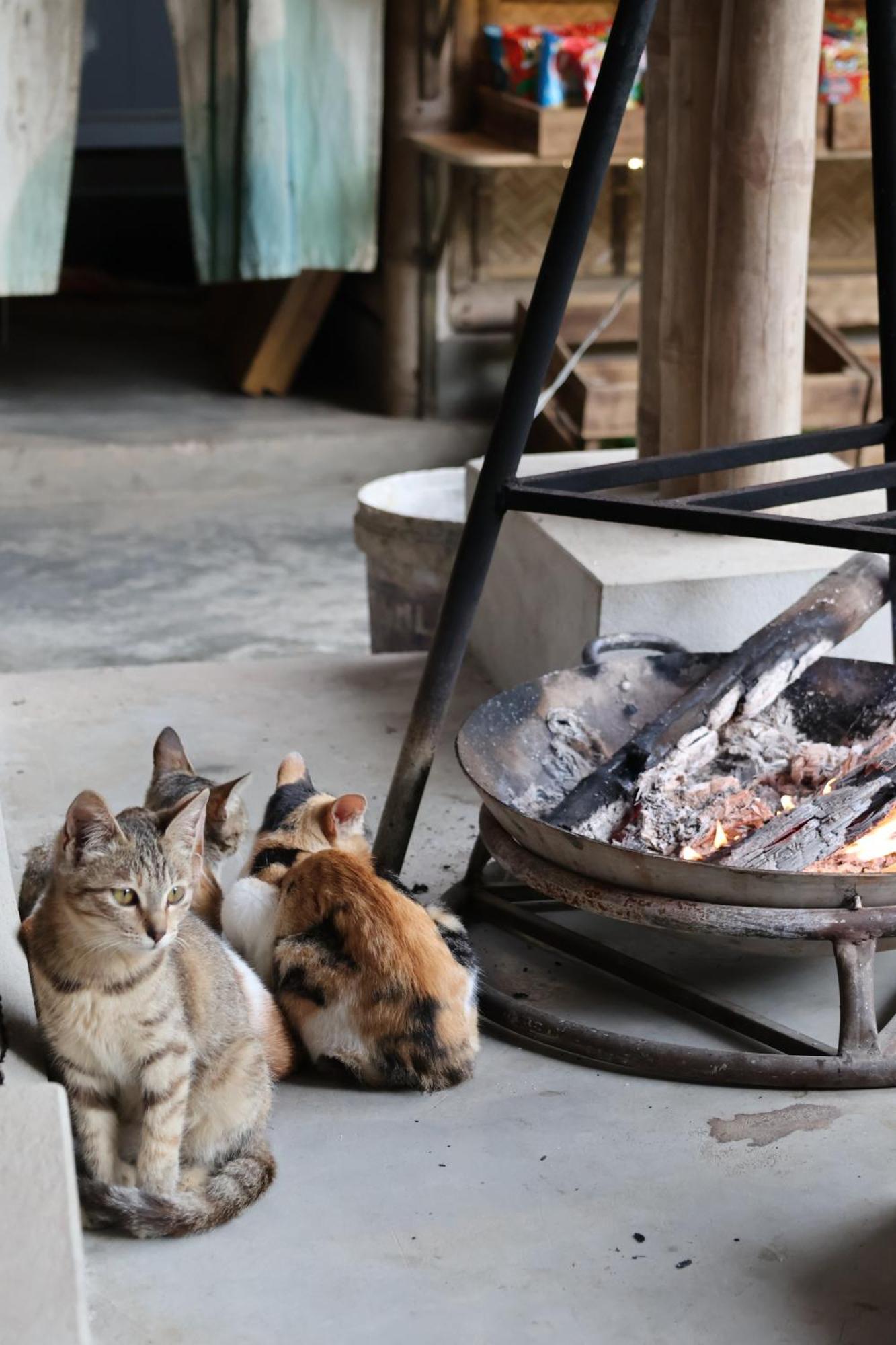Dinh Gia Trang - Homestay & Coffee The Ruong Bagian luar foto