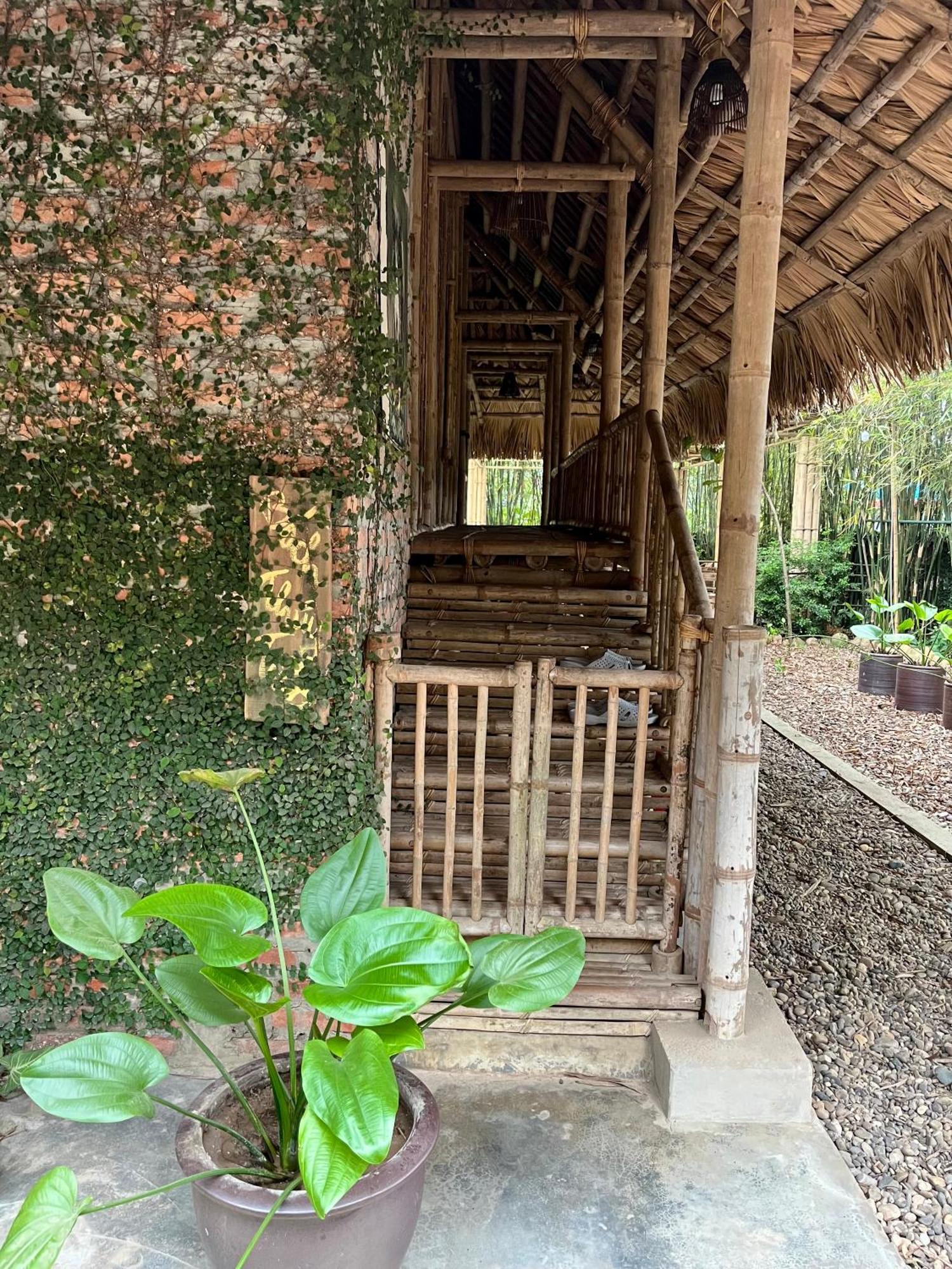 Dinh Gia Trang - Homestay & Coffee The Ruong Bagian luar foto