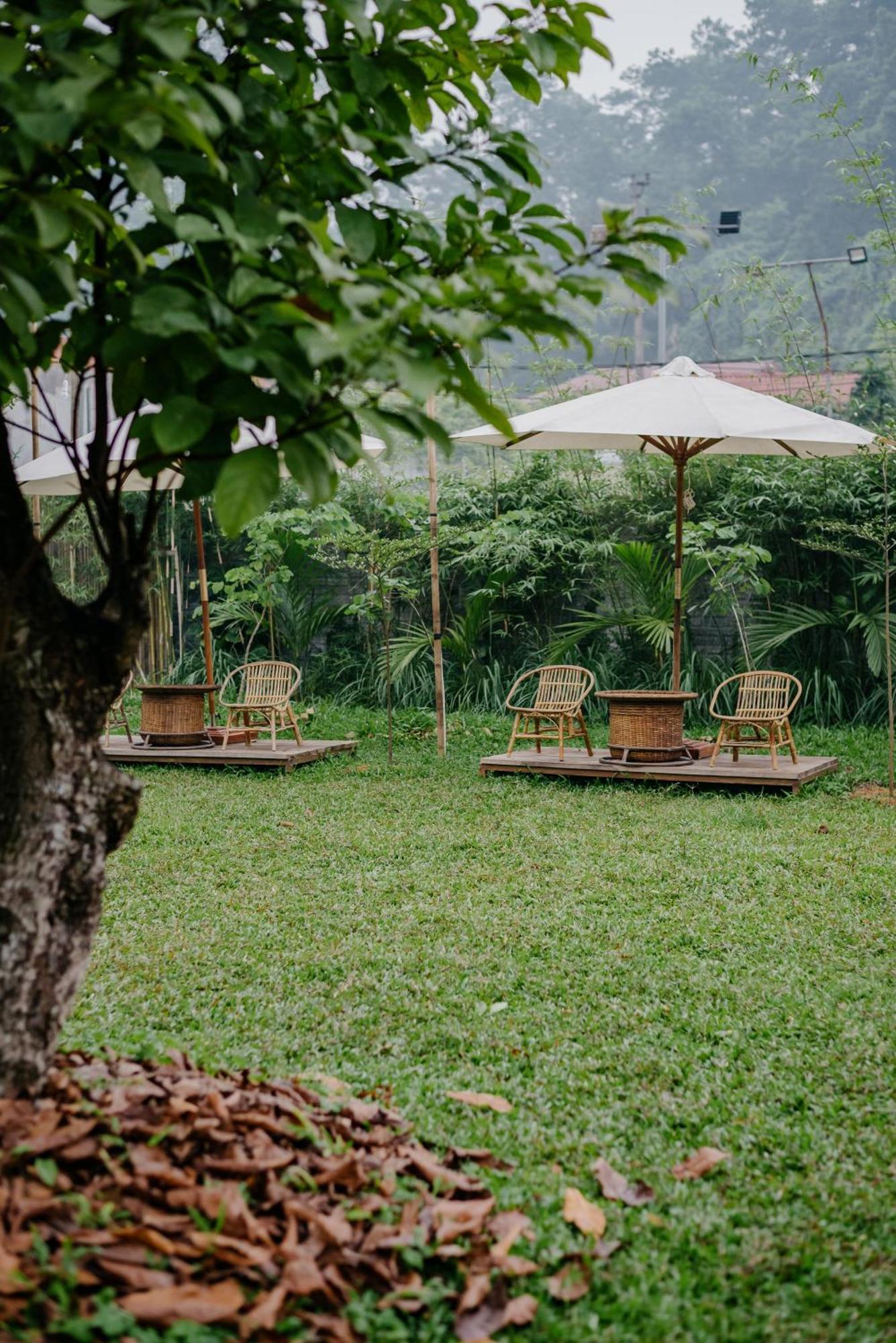 Dinh Gia Trang - Homestay & Coffee The Ruong Bagian luar foto